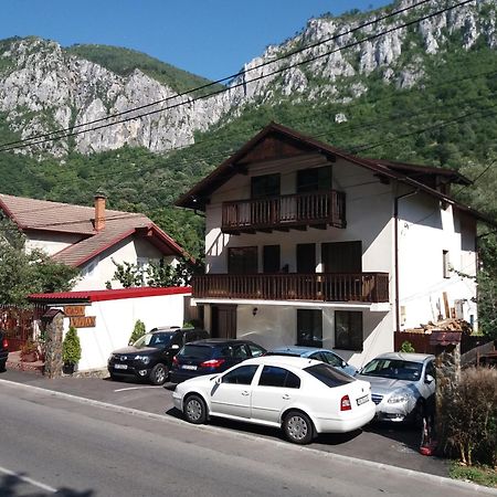 Casa Vivian Hotel Băile Herculane Eksteriør billede