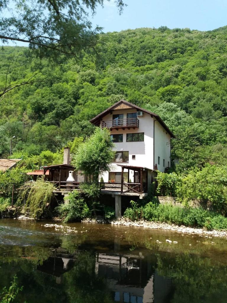 Casa Vivian Hotel Băile Herculane Eksteriør billede