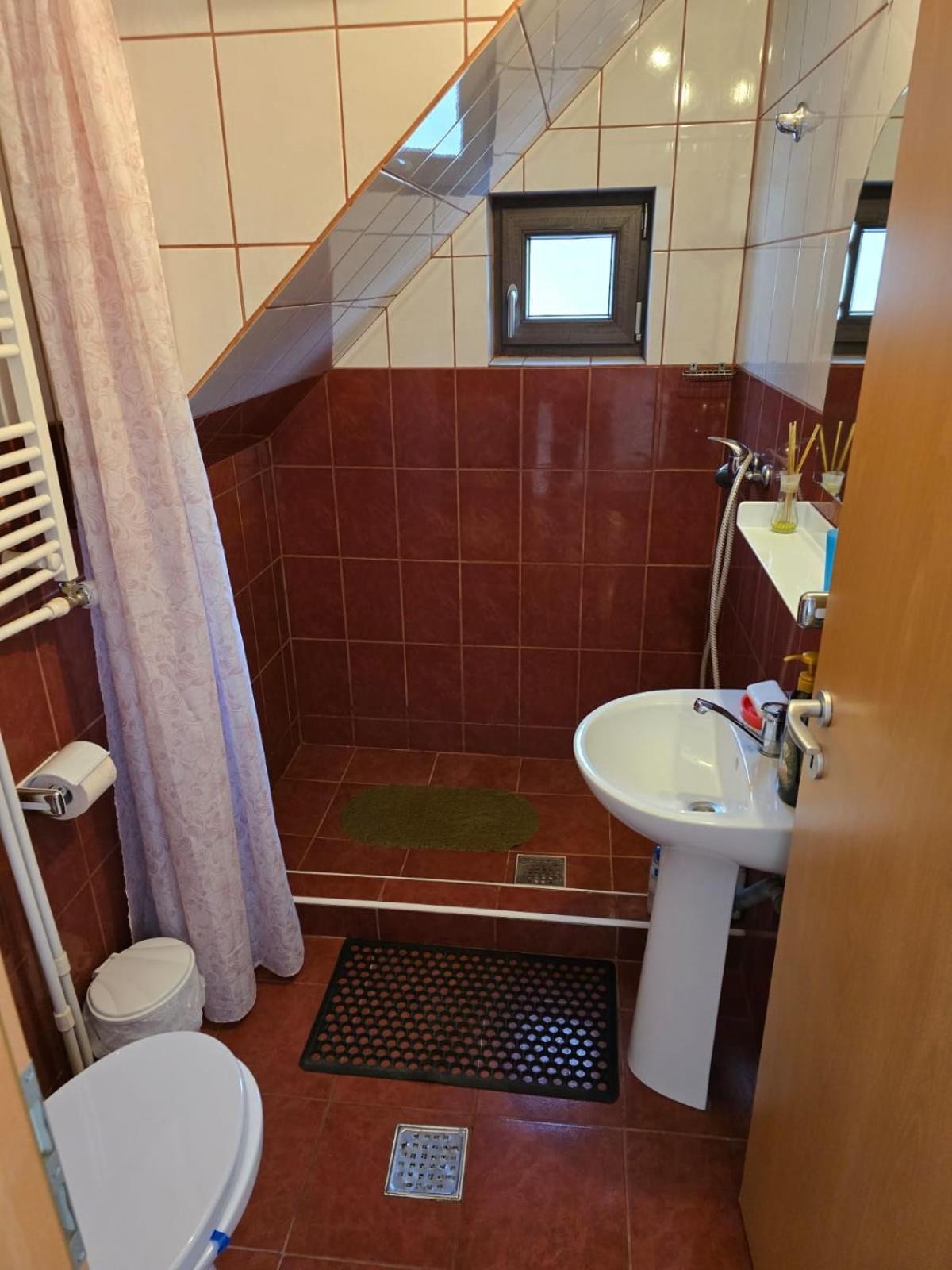 Casa Vivian Hotel Băile Herculane Eksteriør billede